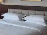 Двухместный номер Guest