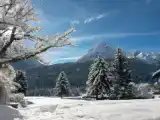Люкс с красивым видом из окна