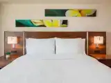Двухместный номер с видом на город