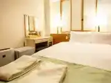 Двухместный номер Эконом с видом на город