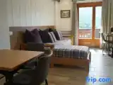 Полулюкс Premium