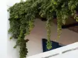 Run of House