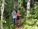 Четырёхместный семейный номер Стандарт