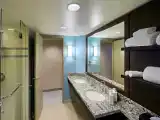 Двухместный номер Deluxe Цокольный этаж