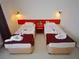 Run of House