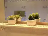 Семейный номер Стандарт