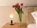 Двухместный полулюкс с красивым видом из окна
