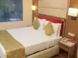 Двухместный номер Deluxe с видом на город