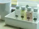 Трёхместный номер Deluxe с видом на океан