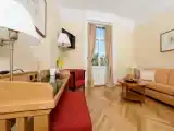 Двухместный люкс с балконом и с видом на парк