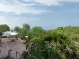Одноместный номер Стандарт с балконом и с видом на сад