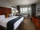 Двухместный номер Executive