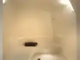 Люкс Стандарт