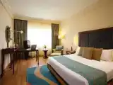 Одноместный люкс Executive