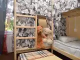 Кровать в общем номере (женский номер)