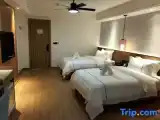 Номер Premier