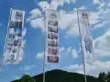 Run of House