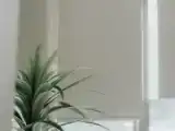 Одноместный номер Superior