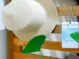 Номер Стандарт
