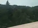 Двухместный номер Стандарт с балконом и с видом на парк