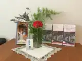 Одноместный номер Superior