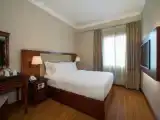 Двухместный номер Deluxe с видом на город