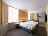 Двухместный номер (standard floor) Premier
