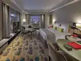 Двухместный номер Executive с видом на парк