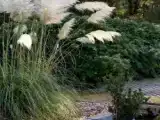 Люкс с балконом