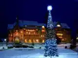 Номер Стандарт