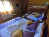Номер Classic