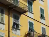 Run of House