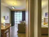 Апартаменты c 1 комнатой с балконом