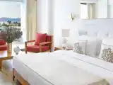 Двухместный номер Superior с частичным видом на море