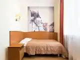 Одноместный номер Стандарт