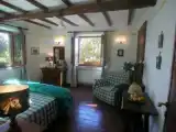 Run of House