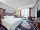Двухместный номер Club Lounge Access Premium