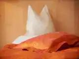 Одноместный номер Стандарт