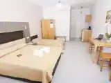 Семейный номер Стандарт с видом на сад