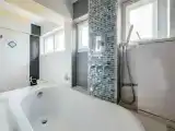 Пентхаус c 1 комнатой