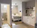 Двухместная студия Цокольный этаж