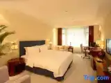 Двухместный номер Executive с видом на город
