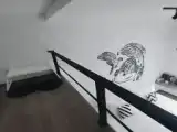 Капсула