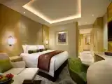Двухместный клубный полулюкс