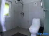 Студия