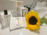 Двухместный полулюкс