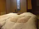 Номер Стандарт с видом на реку