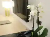 Двухместный номер Superior