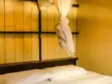 Номер Стандарт