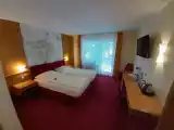 Двухместный номер Стандарт Мансарда